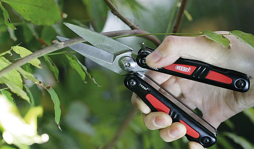 DBST Có thể dùng làm kéo cắt cành cây