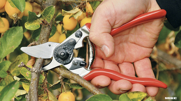 One-hand pruning shear – FELCO 6